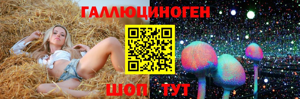Псилоцибиновые грибы Cubensis  Вход с VPN  Псилоцибиновые грибы Cubensis  Славгород 
