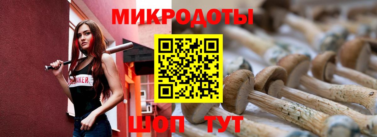 Псилоцибиновые грибы Cubensis Славгород