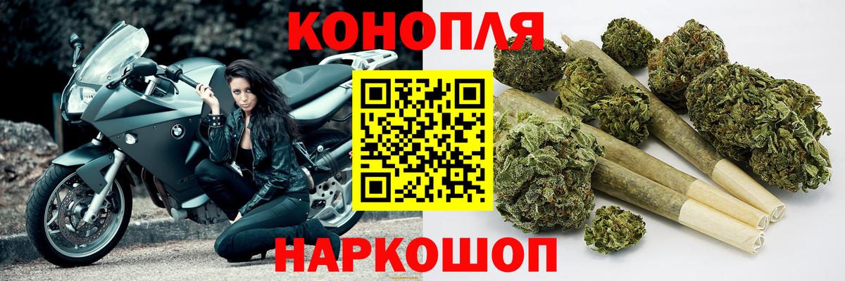 Каннабис планчик Славгород